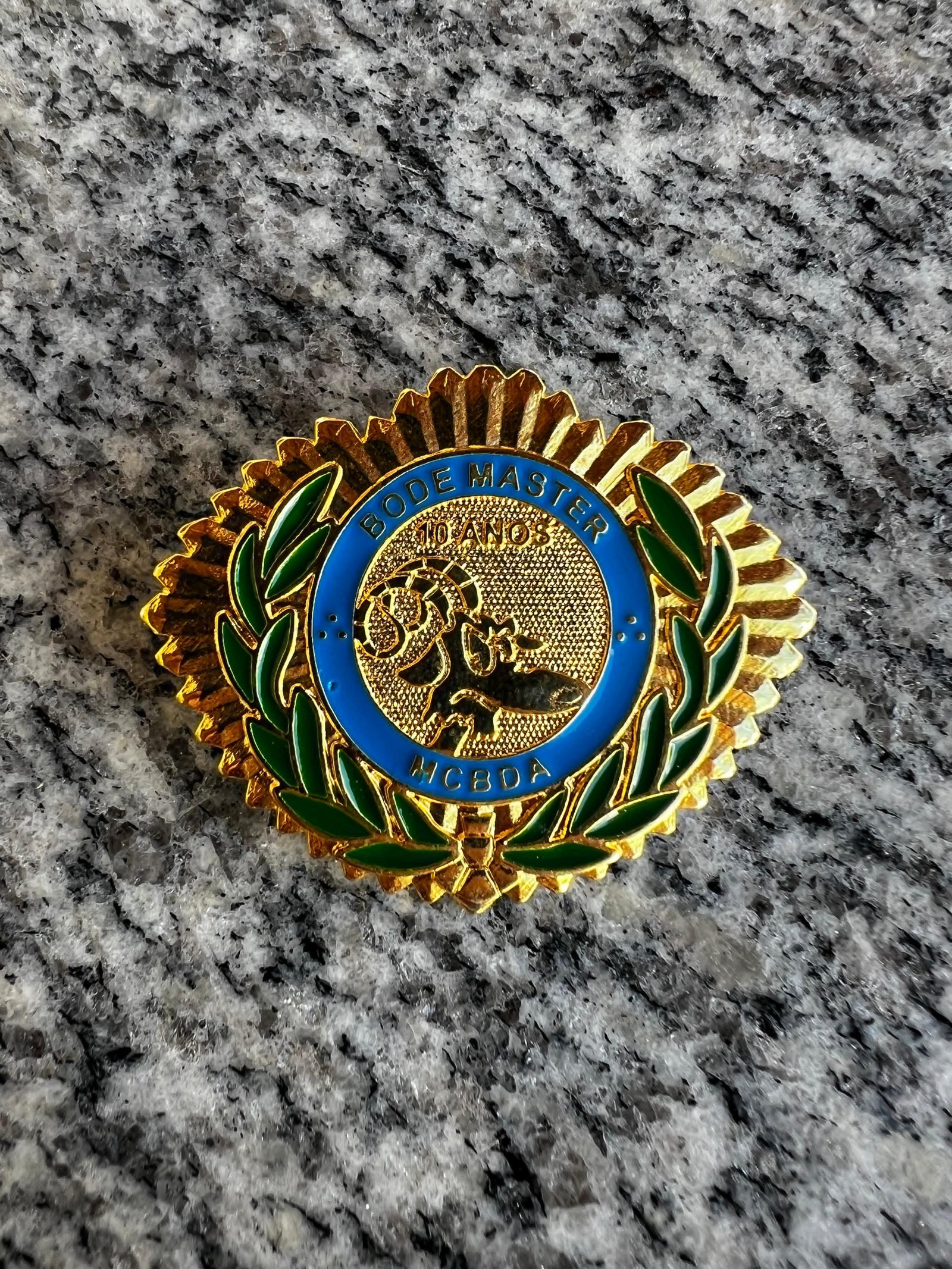 PIN BODE MASTER