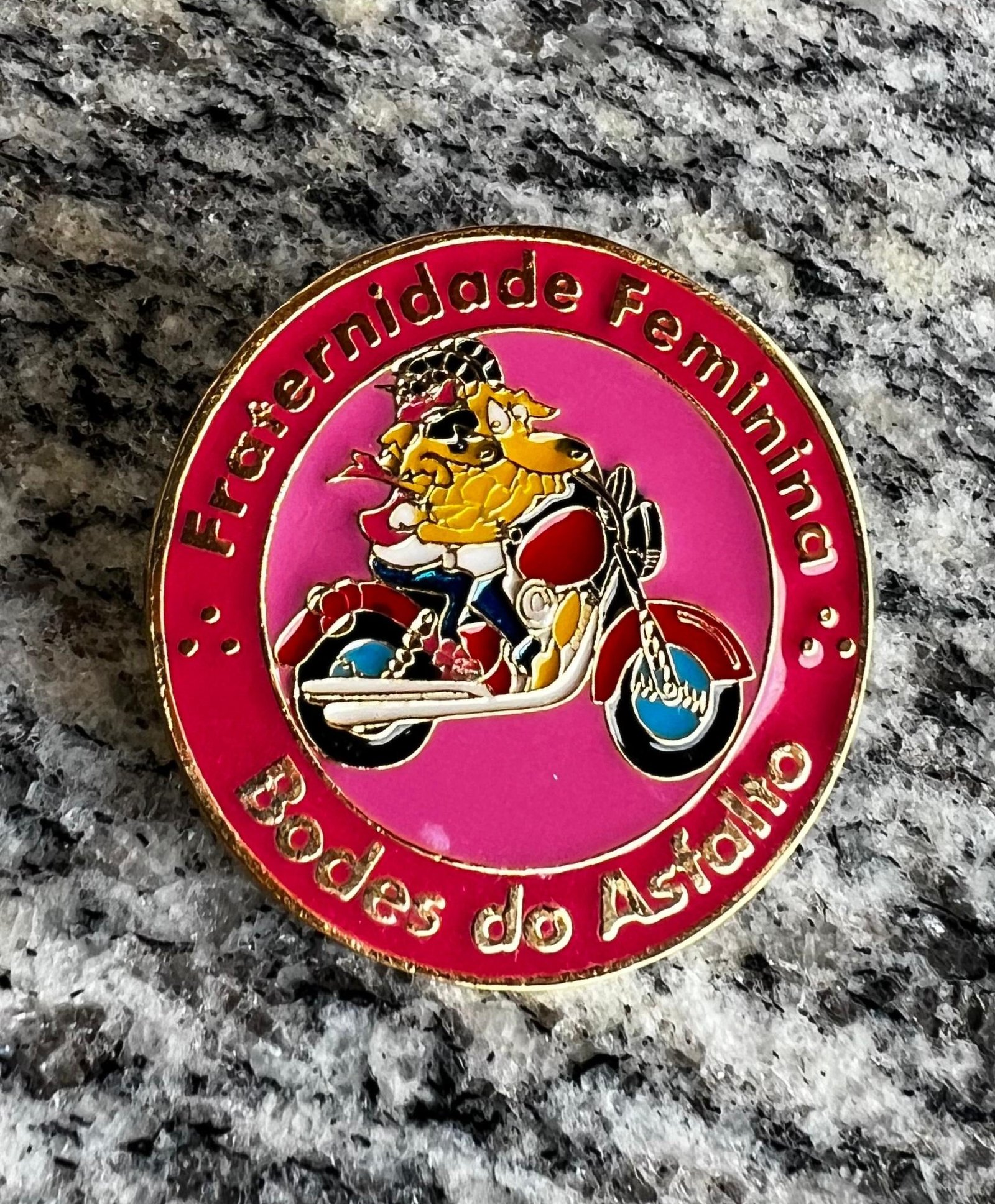 Pin Lapela Fraternidade Feminina